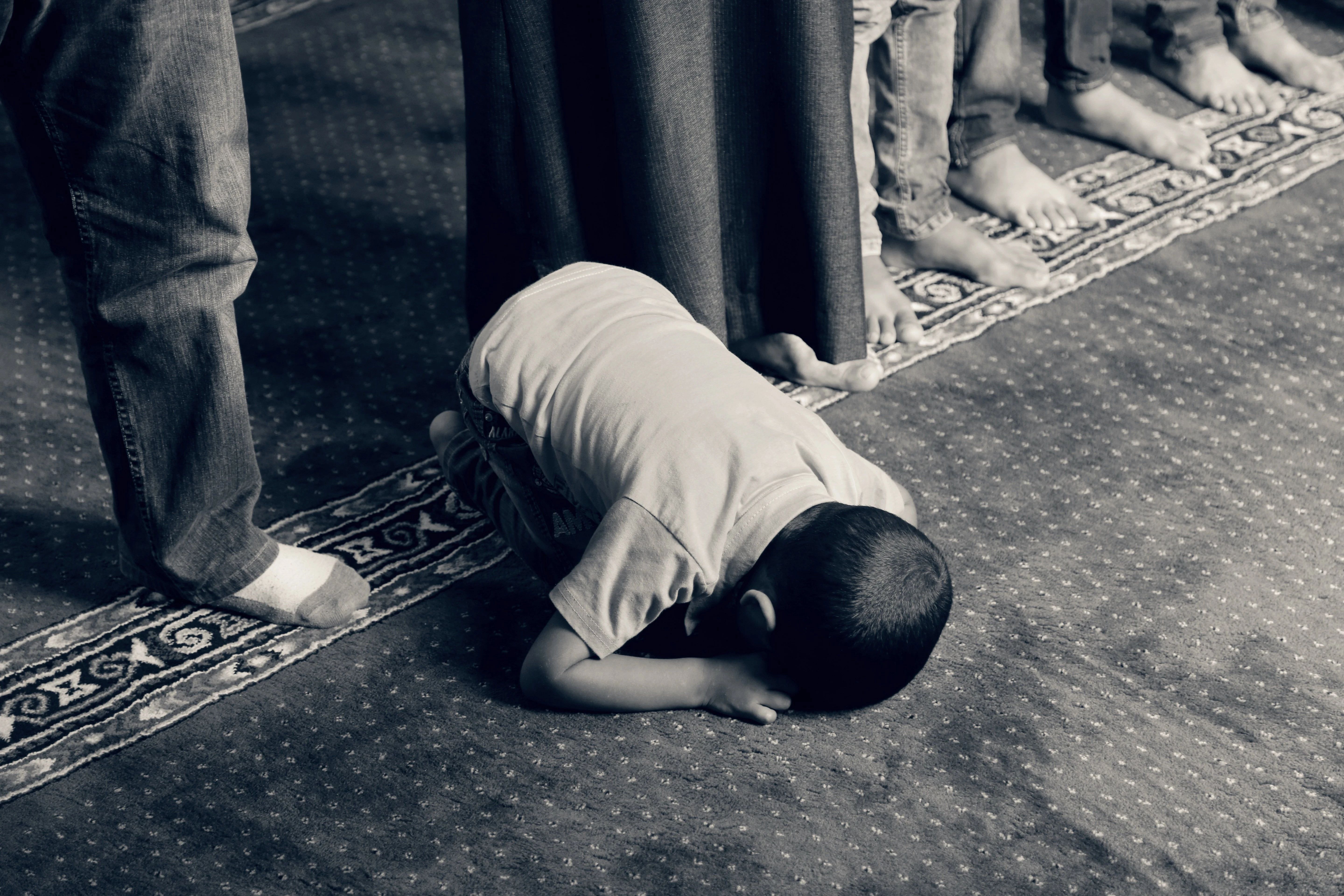 image about كيف تضمن استجابه الدعاء 