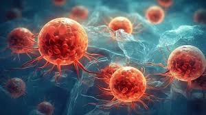 image about الخلايا الجذعية: أنواعها، فوائدها، واستخداماتها في علاج الأمراض المزمنة والوراثية