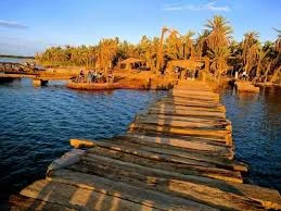 image about واحة سيوة: جوهرة الصحراء الغربية ومعالمها السياحية والأثرية الفريدة
