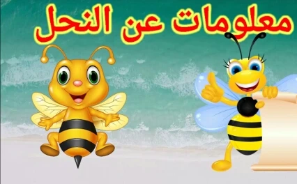 image about عالم النحل الساحر