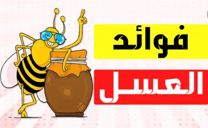 image about عالم النحل الساحر