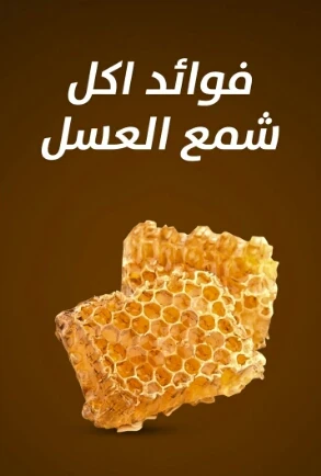 image about عالم النحل الساحر