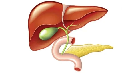 image about المراره الملتهبه المؤلمه