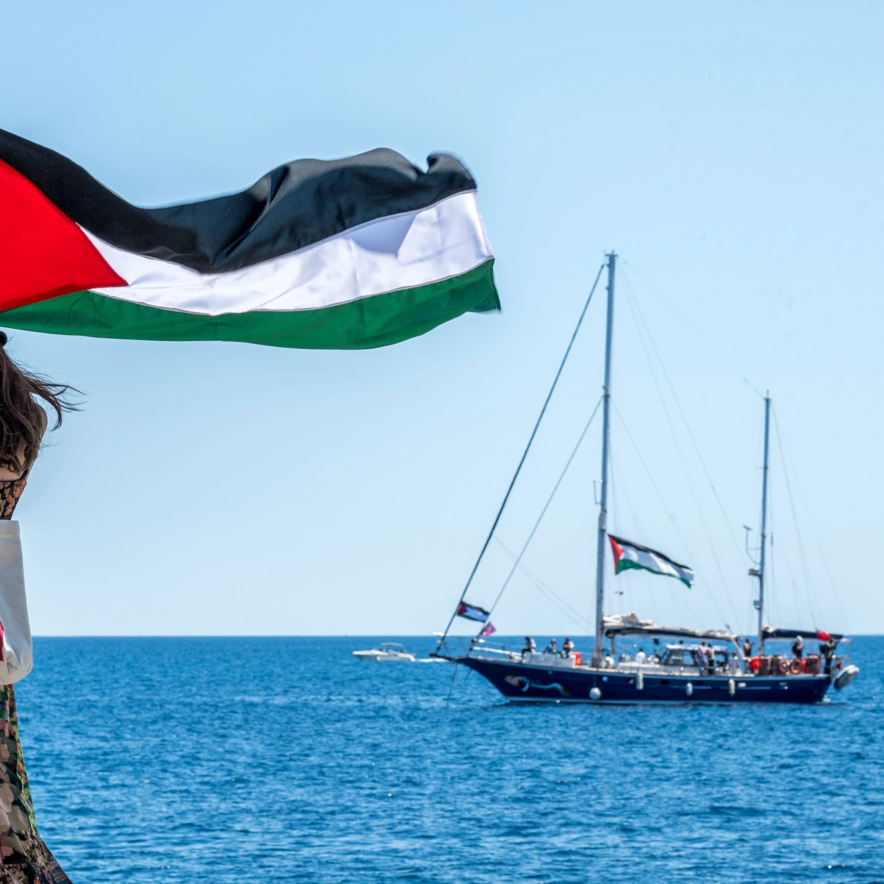 image about أسطول الصمود العالي: الدفاع عن شعب فلسطين  
