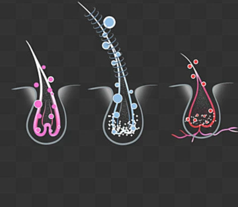 image about اعتني بفروه رأسك