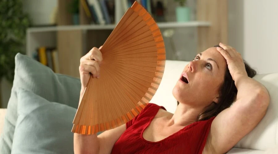 image about عندما تخفف الثلاجة الهبات الساخنة: الوصفة الخالية من الهرمونات
