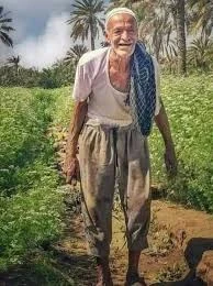 image about عن الريف المصري