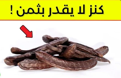 image about ثمره الخروب الغنيه بالفوائد الصحيه