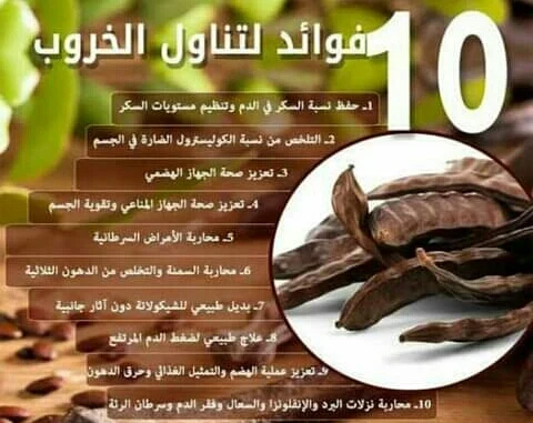 image about ثمره الخروب الغنيه بالفوائد الصحيه