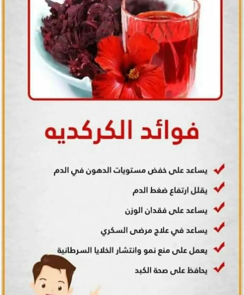 image about الكركديه مشروب الصحه والحذر