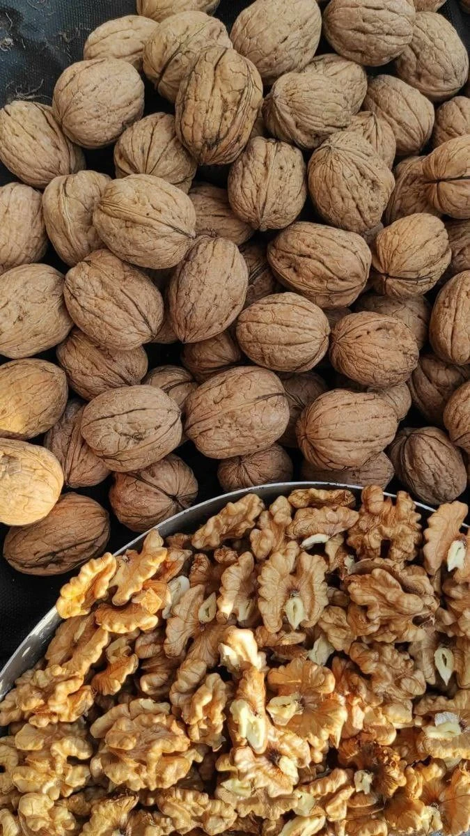 image about الفوائد الصحية لعين الجمل وأهميته لتعزيز صحة القلب والدماغ والعينين