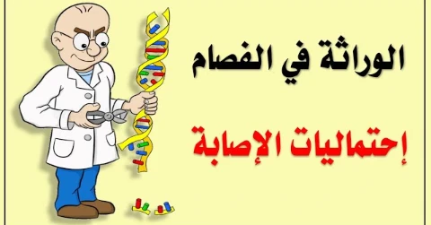 image about ما ووراء الهلاوس والأوهام ( الفصام )