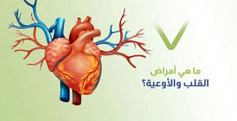 image about القلب المضخة الحيوية وصحة الأوعية الدموية