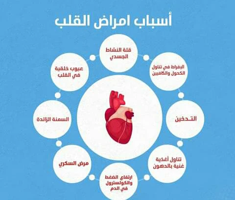 image about القلب المضخة الحيوية وصحة الأوعية الدموية