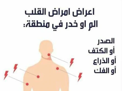 image about القلب المضخة الحيوية وصحة الأوعية الدموية