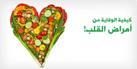 image about القلب المضخة الحيوية وصحة الأوعية الدموية