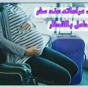 image about ما هي أهم نقاط السفر بالقطار أثناء الحمل؟