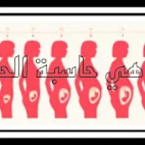 image about ما هي حاسبة الحمل؟