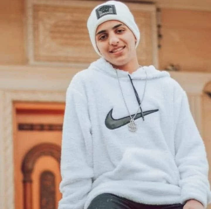 image about الفن والغناء مرآة الشعوب ولغة الإبداع التي توحّد القلوب