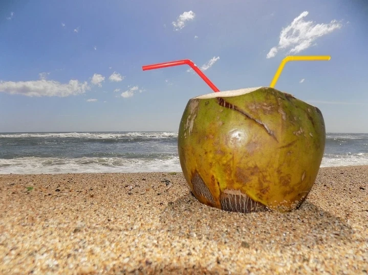 image about 🥥 ماء جوز الهند: شراب الطبيعة السحري لصحة الجسم والعقل