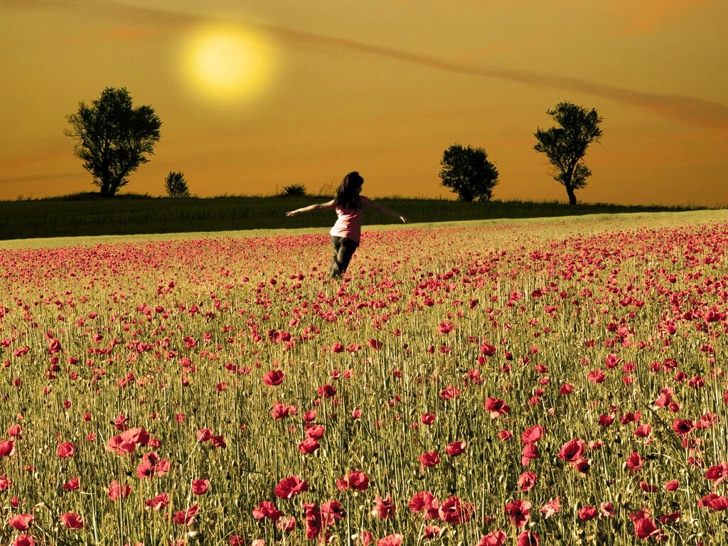 image about لا أحد يتوقف عن الاهتمام بك بين عشية وضحاها ، وإذا حدث ذلك ، فذلك لأنه لم يهتم بك أبدا