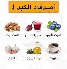 صحة الكبد: سرّ الجسد السليم وطرق الحفاظ عليه طبيعيًا