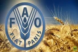 image about كورس منظمه الFAO و الشهاده المعتمده و حقيقه ربح ال700$ بعد الانتهاء من الكورس