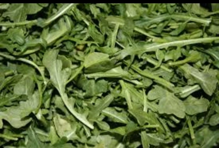 image about فوائد الجرجير الصحية: كنز طبيعي يعزز صحة الجسم ويحميه من الأمراض