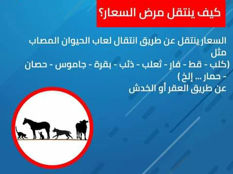 image about الفيروس القاتل ( السعار )