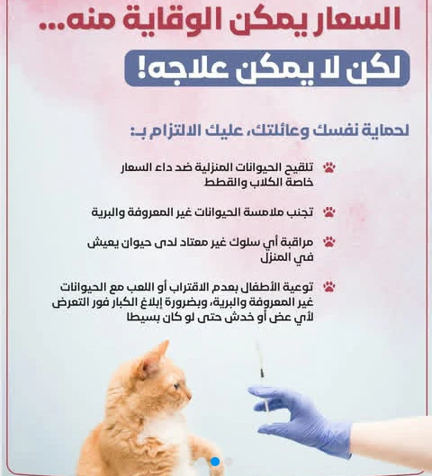 image about الفيروس القاتل ( السعار )