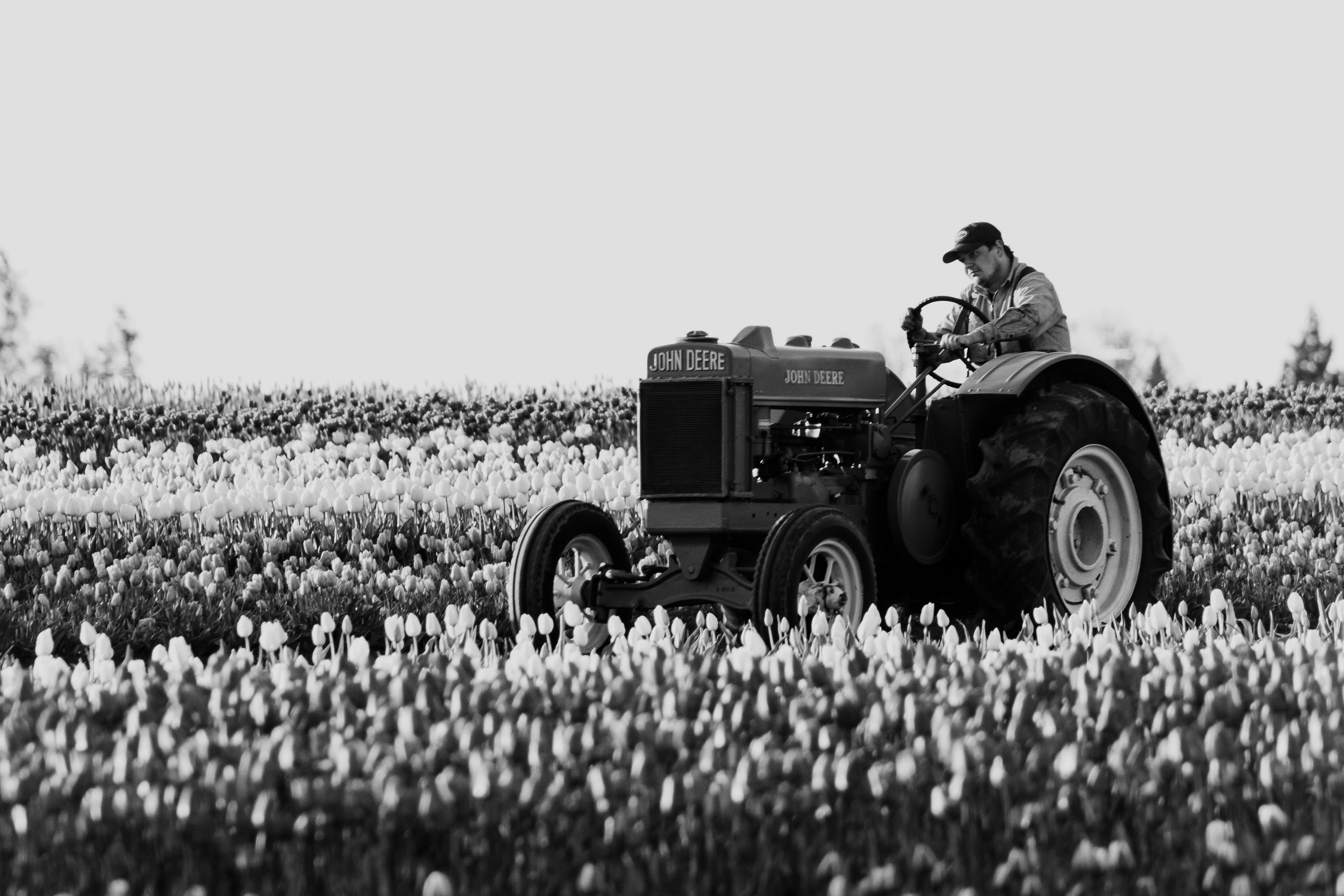 image about أصول علم النفس الزراعي: تصنيف وتحليل لأهم 100 مصدر مرجعي في دراسة سلوك المزارع والتنمية الريفية