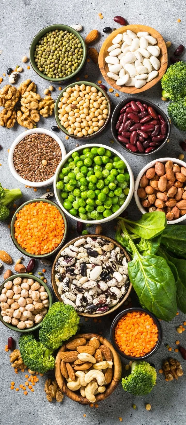 image about شرح  ا الاسم والحرف  وشرح اقسام الاسم والحرف  بالتفصيل مع محمود عصمان