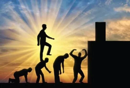 image about الشخصية النرجسي وتأثرها علي المجتمع
