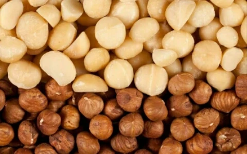 image about ملكه المكسرات المكاديميا