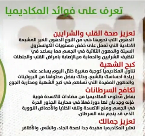 image about ملكه المكسرات المكاديميا