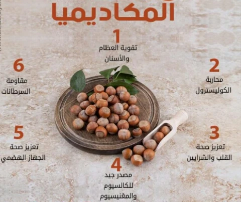 image about ملكه المكسرات المكاديميا