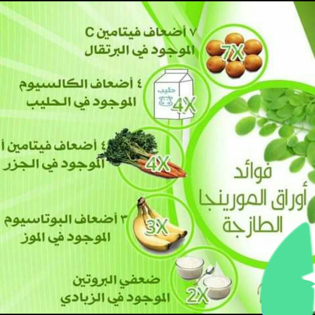 image about شجره المعجزات المورينجا