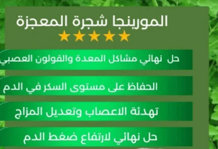 image about شجره المعجزات المورينجا