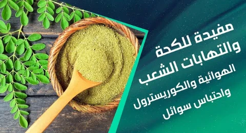 image about شجره المعجزات المورينجا