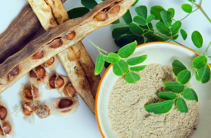 image about شجره المعجزات المورينجا