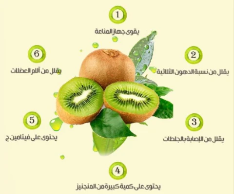 image about الجوز الملكي الصيني