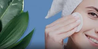 image about البشرة الدهنية: علاماتها، وطرق العناية بها، ومميزاتها وسلبياتها