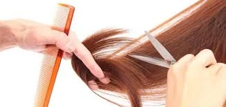 image about أسرار الحفاظ على حيوية الشعر ومنع التقصف: دليل شامل لجمال دائم**