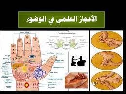 image about  الإعجاز العلمي في الوضوء   أسرار طبية وروحية مذهلة تدهش العلماء