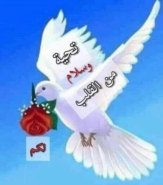 image about الهجره الى الحبشه