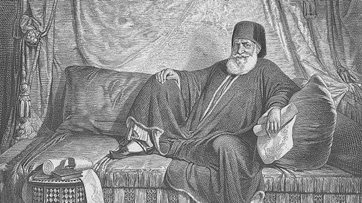 image about كيف إنهار إقتصاد مصر بعد عزل محمد علي
