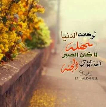 image about شعر العزيمة والإنجاز قصائد في النجاح وحصاد الثمرات