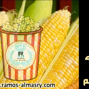 image about فوائد الذره الصفراء للجسم