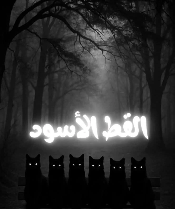 image about انتقام القط الأسود