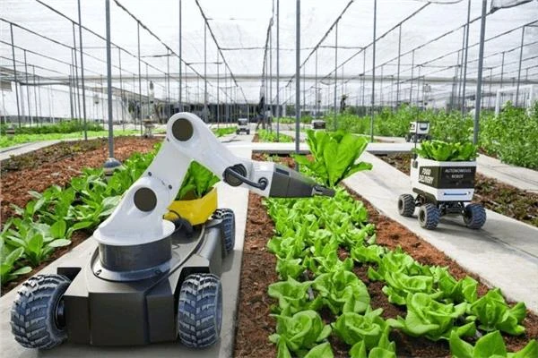 image about الزراعة الذكية كمدخل استراتيجي لتحقيق الأمن الغذائي في ظل التغيرات المناخية